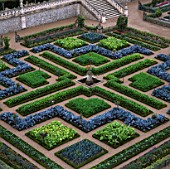 CABBAGES AND CHARD IN THE FORMAL POTAGER AT THE CHATEAU DE VILLANDRY  FRANCE