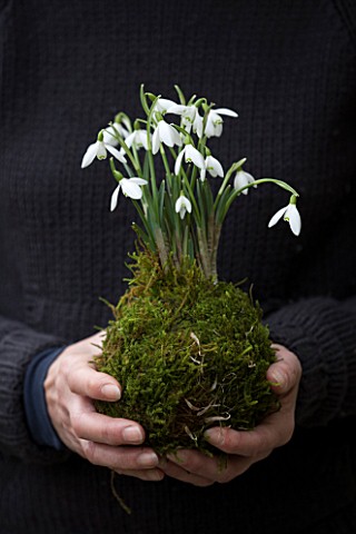CHELSEA_PHYSIC_GARDEN_LONDON_GIRL_WITH_BLACK_JUMPER_HOLDING_GALANTHUS_NIVALIS_PLANTED_IN_MOSS__LADY_