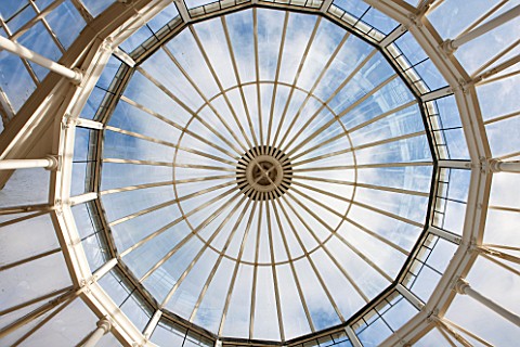 CHISWICK_HOUSE_CAMELLIA_SHOW__COLLECTION_CHISWICK_HOUSE_AND_GARDENS_LONDON_ROOF_OF_THE_CONSERVATORY_