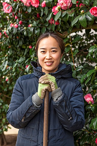 CHISWICK_HOUSE_CAMELLIA_SHOW__COLLECTION_CHISWICK_HOUSE_AND_GARDENS_LONDON_YUKO__A_JAPANESE_GARDENER