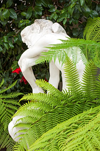 CHISWICK_HOUSE_CAMELLIA_SHOW__COLLECTION_CHISWICK_HOUSE_AND_GARDENS_LONDON_STATUE_AND_FERNS_IN_THE_C