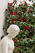 CHISWICK HOUSE CAMELLIA SHOW / COLLECTION, CHISWICK HOUSE AND GARDENS, LONDON: STATUE AND CAMELLIAS IN THE CONSERVATORY. GLASSHOUSE, GLASS HOUSE, SCULPTURE, FEBRUARY