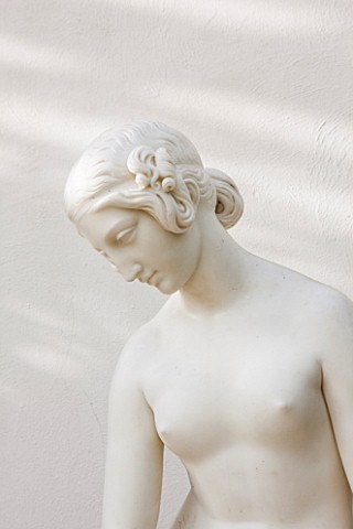 CHISWICK_HOUSE_CAMELLIA_SHOW__COLLECTION_CHISWICK_HOUSE_AND_GARDENS_LONDON_STATUE_OF_WOMAN_IN_THE_CO