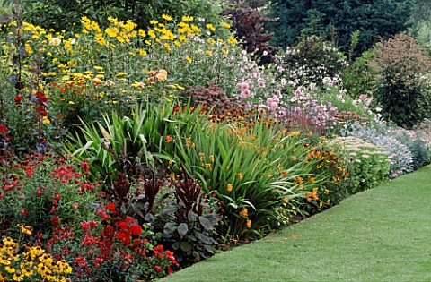 COLOURFUL_HERBACEOUS_BORDERS_AT_THE_PRIORY__KEMERTON__HEREFORD__WORCESTER_WITH_HELENIUMS__DAHLIAS__C