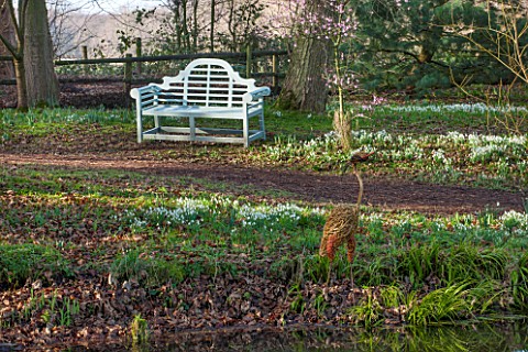 RODE_HALL_AND_GARDENS_CHESHIRE_BLUE_WOODEN_BENCH__SEAT_IN_WOODLAND__SNOWDROPS_CHERRY_IN_BLOSSOM__PRU