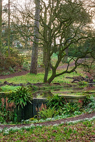 RODE_HALL_AND_GARDENS_CHESHIRE_STEW_POND_IN_WOODLAND_WITH_WATERFALL_COUNTRY_GARDEN_FEBRUARY_WATER_PO