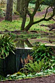 RODE HALL AND GARDENS, CHESHIRE: STEW POND IN WOODLAND WITH WATERFALL. COUNTRY GARDEN, FEBRUARY, WATER, POOL