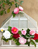 CHATSWORTH HOUSE, DERBYSHIRE: GLASS CLOCHE WITH CAMELLIAS