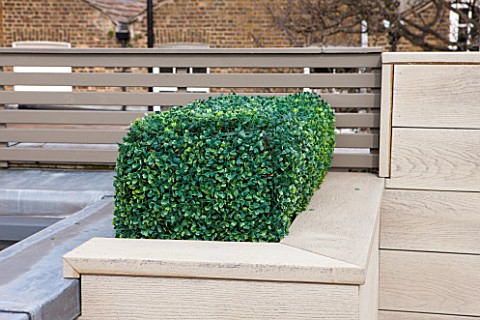 SALLY_STOREY_HOUSE_LONDON_ROOF_TERRACE_WITH_FAKE_WOODEN_DECKING_AND_FAKE_BOX_HEDGING_ROOF_GARDEN_DEC