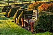 PETTIFERS, OXFORDSHIRE: DESIGNED  BY GINA PRICE: PARTERRE IN EARLY SPRING - APRIL - WOODEN BENCH, SEAT, ENGLISH GARDEN, MORNING LIGHT, SUNRISE, FORMAL, BOX HEDGE, BOX HEDGING