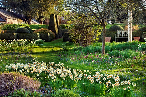 PETTIFERS_GARDEN_OXFORDSHIRE_DESIGNER_GINA_PRICE_MEADOW_AND_PARTERRE_WITH_DAFFODILS_ANEMONE_BLANDA_A