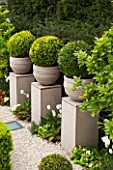 DESIGNER STEPHEN WOODHAMS, LONDON: FORMAL TOWN GARDEN - FRONT GARDEN WITH GRAVEL, PEDESTALS AND BOX BALLS IN CONTAINERS. POTS, BUXUS, BOX, CLIPPED, TOPIARY, SPRING
