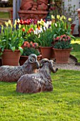 WHICHFORD POTTERY, WARWICKSHIRE: LAWN WITH TERRACOTTA SHEEP MADE BY JIM KEELING AND FIRED AT THE ANAGAMA KILN AT WYTHAM WOOD. TERRACOTTA CONTAINERS WITH TULIPS, LAWN, SPRING