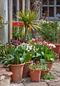 WHICHFORD POTTERY, WARWICKSHIRE: TERRACE WITH CONTAINERS OF TULIPS - PATIO, CONTAINER, POT, POTS, MAY, SPRING