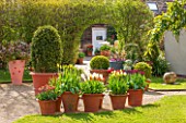 WHICHFORD POTTERY, WARWICKSHIRE: THE ENTRANCE TO THE GARDEN WITH TERRACOTTA CONTAINERS PLANTED WITH TULIPS - SPRING, MAY