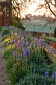 BROUGHTON GRANGE, OXFORDSHIRE: BORDER BESIDE THE LOWER  PARTERRE PLANTED WITH  FLOWERING CAMASSIA IN SPRING - MAY