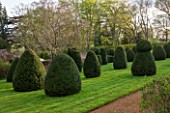 BROUGHTON GRANGE, OXFORDSHIRE: VIEW FROM THE LOWER PARTERRE OF THE WALLED GARDEN TO LAWN WITH CLIPPED TOPIARY YEWS, COUNTRY, GARDEN, YEW, TAXUS
