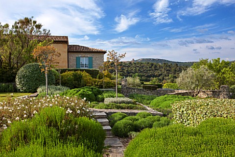 LA_JEG_PROVENCE_FRANCE_DESIGN_ANTHONY_PAUL__THE_HOUSE_WITH_BLUE_SHUTTERS_CLIPPED_SHRUBS_AND_CISTUS_M