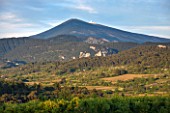 LA JEG, PROVENCE, FRANCE: DESIGN: ANTHONY PAUL - VIEW TO THE EAST OF MONT VENTOUX. SUMMER,  COUNTRY, GARDEN