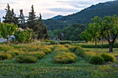 LA JEG, PROVENCE, FRANCE: DESIGNER ANTHONY PAUL -  GRASS PARTERRE AND VIEW TO HILLSIDE BEYOND. SPRING. MEDITERRANEAN, GARDEN, GREEN, PROVENCE, MAY