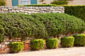 LA JEG, PROVENCE, FRANCE: DESIGNER ANTHONY PAUL - STONE WALL, CLIPPED TOPIARY. MEDITERRANEAN, GARDEN, PROVENCE, MAY, PRUNED, HEDGING, HEDGE, DRIVE, HOUSE, SHUTTERS