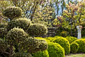 LA JEG, PROVENCE, FRANCE: DESIGNER ANTHONY PAUL - CLIPPED TOPIARY AND SUNDIAL. MEDITERRANEAN, GARDEN, PROVENCE, MAY, PRUNED, HEDGING, HEDGE, CLOUD, BOX, BUXUS