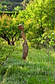 LA JEG, PROVENCE, FRANCE: DESIGNER ANTHONY PAUL - WOODEN SCULPTURE IN MEADOW. SPRING. MEDITERRANEAN, GARDEN, GREEN, PROVENCE, MAY