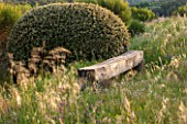 LA JEG, PROVENCE, FRANCE: DESIGNER ANTHONY PAUL - WAVE SHAPED GREEN OAK BENCH BY ANTHONY PAUL. SEAT, SEATING, WOODEN, SPRING. MEDITERRANEAN, GARDEN, GREEN, PROVENCE, MAY