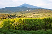 LA JEG, PROVENCE, FRANCE: DESIGNER ANTHONY PAUL -  VIEW EAST FROM THE GARDEN TO MONT VENTOUX. SPRING. MEDITERRANEAN, GARDEN, GREEN, PROVENCE, MAY