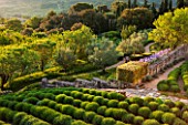 LA JEG, PROVENCE, FRANCE: DESIGNER ANTHONY PAUL - ROWS OF CLIPPED LAVENDER IN SPRING. STONE WALL, IRISES. MEDITERRANEAN, GARDEN, GREEN, PROVENCE, MAY, PATTERN