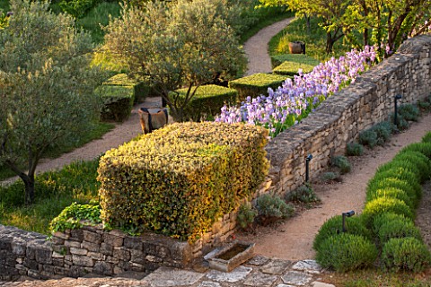 LA_JEG_PROVENCE_FRANCE_DESIGNER_ANTHONY_PAUL__ROWS_OF_CLIPPED_LAVENDER_IN_SPRING_STONE_WALL_IRISES_M