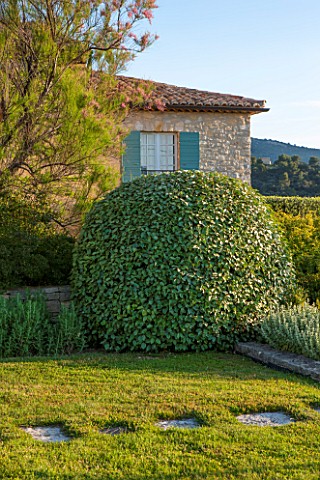 LA_JEG_PROVENCE_FRANCE_DESIGNER_ANTHONY_PAUL__LAWN_WITH_STEPPING_STONES_CLIPPED_BALL_AND_HOUSE_WITH_