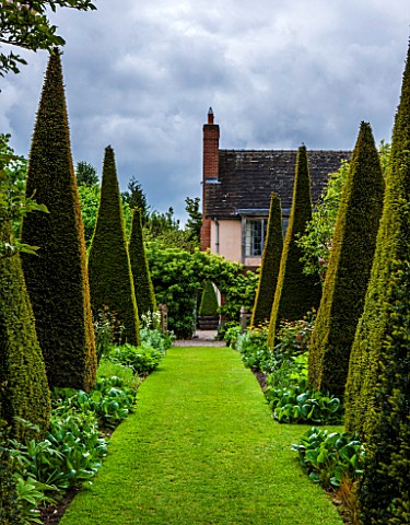 WOLLERTON_OLD_HALL_SHROPSHIRE_GRASS_PATH_TO_ARCH_IN_WALL_PYRAMID_TOPIARY_CLIPPED_YEW_FORMAL_ARTS_AND