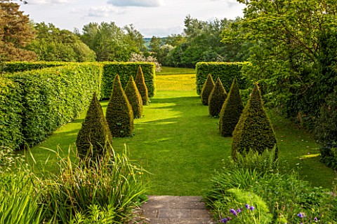 BRYANS_GROUND_HEREFORDSHIRE_THE_DIOVECOTE_GARDEN__EIGHT_CLIPPED_YEW_TOPIARY_OBELISKS_HA_HA_AND_VIEW_
