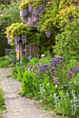 BRYANS GROUND, HEREFORDSHIRE: THE TERRACE AT THE BACK OF THE HOUSE WITH WISTERIA AND BORDER WITH BLUE AND PINK AQUILEGIAS, STACHYS AND FENNEL - COUNTRY GARDEN, PATIO