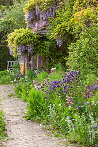 BRYANS_GROUND_HEREFORDSHIRE_THE_TERRACE_AT_THE_BACK_OF_THE_HOUSE_WITH_WISTERIA_AND_BORDER_WITH_BLUE_