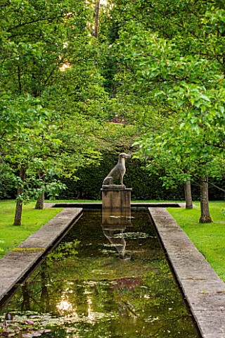 BRYANS_GROUND_HEREFORDSHIRE_THE_DUTCH_CANAL_WITH_DOG_STATUE_AND_PYRUS_CALLERYANA_CHANTICLEER__WATER_