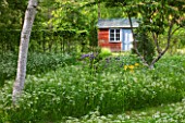 BRYANS GROUND, HEREFORDSHIRE: SUMMERHOUSE / SHED / GARDEN BUILDING IN CRICKET WOOD WITH GRASS PATH AND PLANTING OF COW PARSLEY - WOODS, WOODLAND, SHADE, MAY, SPRING
