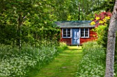 BRYANS GROUND, HEREFORDSHIRE: SUMMERHOUSE / SHED / GARDEN BUILDING IN CRICKET WOOD WITH GRASS PATH AND PLANTING OF COW PARSLEY - WOODS, WOODLAND, SHADE, MAY, SPRING