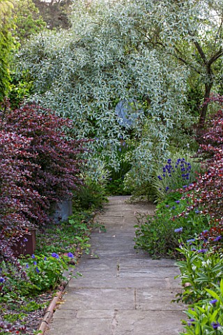BRYANS_GROUND_HEREFORDSHIRE_VISTA_TO_FOCAL_POINT_ALONG_PATH_WITH_BERBERIS_FOCAL_POINT_COUNTRY_GARDEN