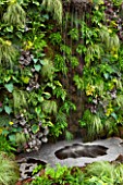 HOPE SHARP STORY, CHELSEA 2016: BOWDEN STAND - LIVING WALL - WATERFALL AND PLANTING OF HOSTAS - VERTICAL, GARDEN, WATER