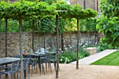 PRIVATE GARDEN LONDON DESIGNED BY LUCY WILLCOX AND ANA SANCHEZ MARTIN: TOWN GARDEN WITH LAWN, PATHS, WALL, PERGOLA, BORDER, SEAT - JUNE, SUMMER, FORMAL, TABLE, CHAIRS