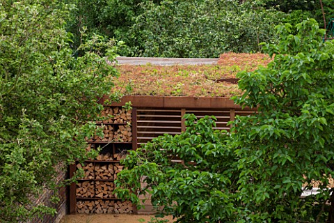 PRIVATE_GARDEN_LONDON_DESIGNED_BY_LUCY_WILLCOX_AND_ANA_SANCHEZ_MARTIN_CORTEN_STEEL_LOG_STORE_AND_LIV