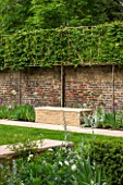 PRIVATE GARDEN LONDON DESIGNED BY LUCY WILLCOX AND ANA SANCHEZ MARTIN: FORMAL TOWN GARDEN WITH BRICK WALL, STONE SEAT / BENCH, PLEACHED HORNBEAM, ALLIUM MOUNT EVEREST