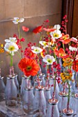 CHATSWORTH HOUSE,DERBYSHIRE: FLORABUNDANCE-A FIELD FULL OF POPPIES.POPPIES AND PRIMULAS IN OLD-FASHIONED SCHOOL MILK BOTTLES PAY HOMAGE TO THE LANDSCAPE CREATED THREE CENTURIES AGO