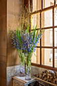 CHATSWORTH HOUSE,DERBYSHIRE: FLORABUNDANCE-WINDOW TO THE ESTATE FROM THE CAREFREE MANS LANDING. TALL GLASS VASES WITH BLUE DELPHINIUMS AND STIPA GIGANTIA. INTERIOR,DISPLAY,BEAUTY