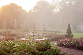 GLYNDEBOURNE, EAST SUSSEX: THE NEW MARY CHRISTIE ROSE GARDEN AT DAWN - FORMAL, ROSES, ENGLISH, SUMMER, JUNE, TOPIARY, YEW, MIST, WATER, FOUNTAIN