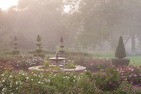 GLYNDEBOURNE_EAST_SUSSEX_THE_NEW_MARY_CHRISTIE_ROSE_GARDEN_AT_DAWN__FORMAL_ROSES_ENGLISH_SUMMER_JUNE
