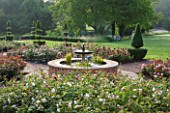 GLYNDEBOURNE, EAST SUSSEX: THE NEW MARY CHRISTIE ROSE GARDEN AT DAWN - FORMAL, ROSES, ENGLISH, SUMMER, JUNE, TOPIARY, YEW, MIST, WATER, FOUNTAIN