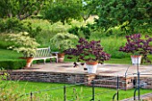 GLYNDEBOURNE, EAST SUSSEX: TERRACE BY LAKE WITH TERRACOTTA CONTAINERS PLANTED WITH CORNUS AND CERCIS CANADENSIS FOREST PANSY. ENGLISH, GARDEN
